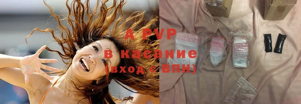ECSTASY Алзамай