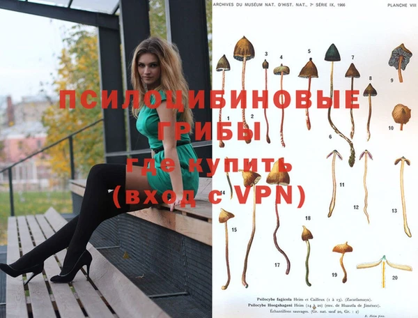 ECSTASY Алзамай