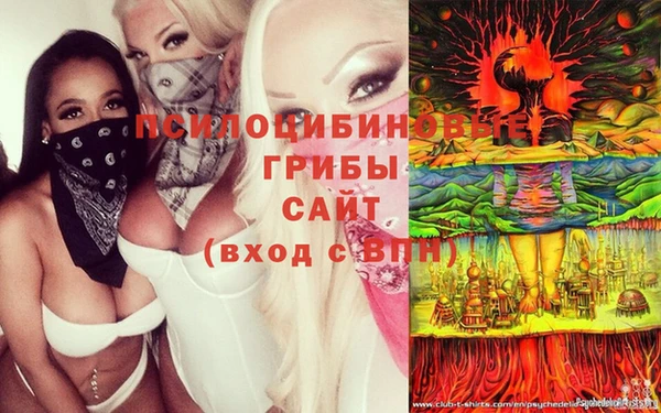 дживик Алексеевка