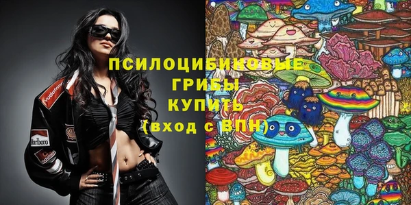 a pvp Алексин