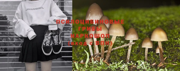 дживик Алексеевка