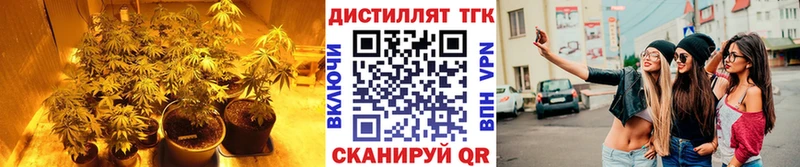 ТГК жижа  цены наркотик  Краснообск 